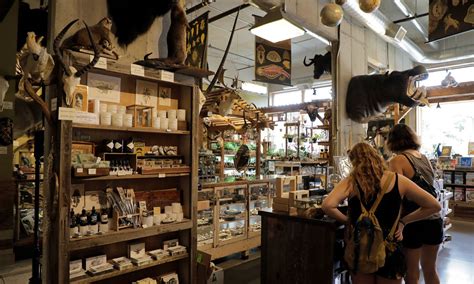 Unveiling the Secrets of Portland's Witch Stores: A Tourist's Guide
